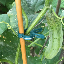Load image into Gallery viewer, Reusable Garden Flower Lever Loop Gripper Clips
