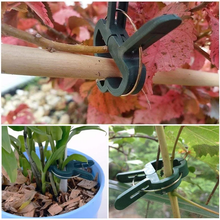 Load image into Gallery viewer, Reusable Garden Flower Lever Loop Gripper Clips
