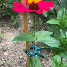 Load image into Gallery viewer, Reusable Garden Flower Lever Loop Gripper Clips
