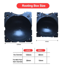 Load image into Gallery viewer, Plant Root Growing Box
